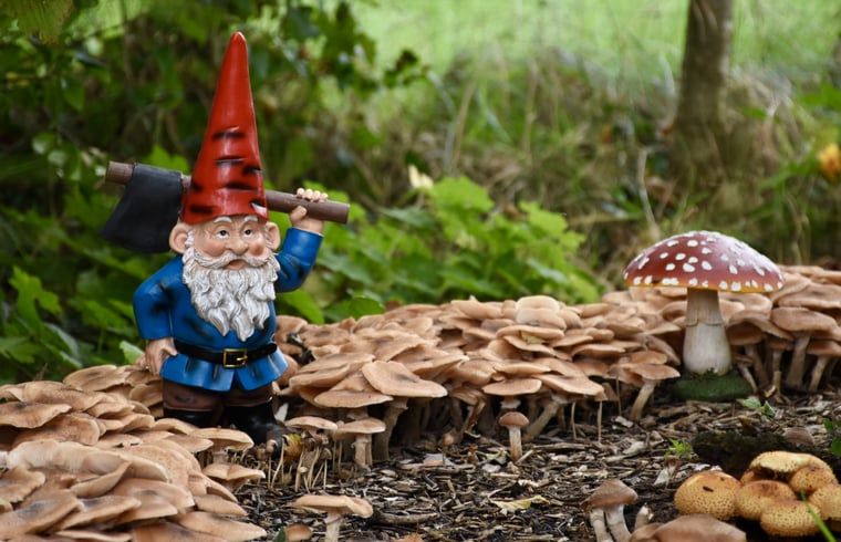 Unterkunft 294834 - Ferienhaus Achterhoek - Vakantiehuisje in Neede