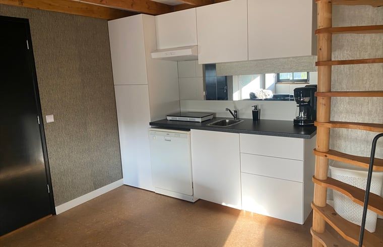 Modern Kitchen in Holiday Home in Gaanderen, Achterhoek