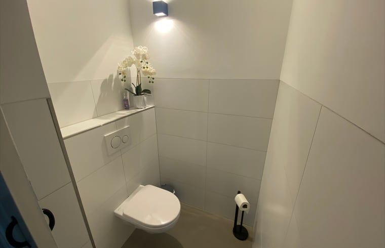 Modern toilet in Holiday home in Gaanderen, Gelderland
