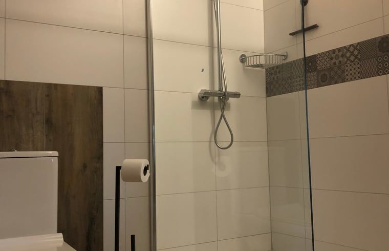 Extra bathroom with shower in Holiday home in Gaanderen, Achterhoek