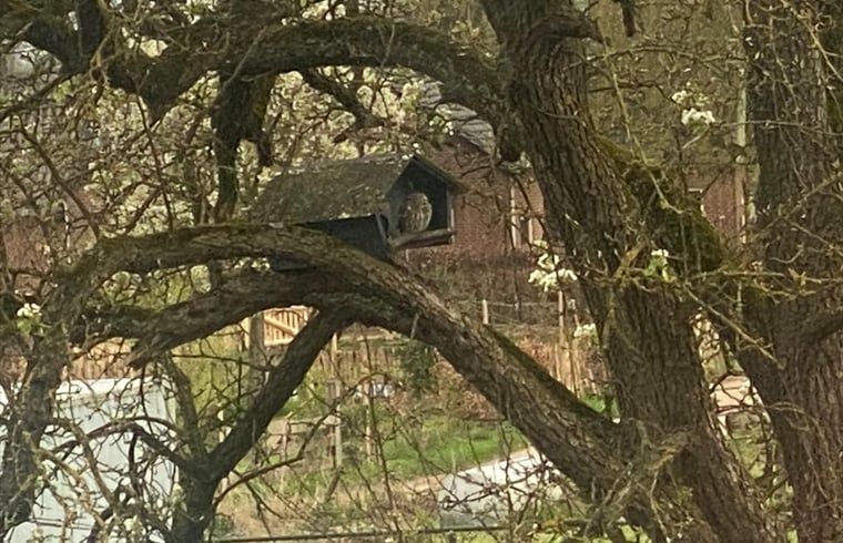 Birdhouse in the garden of Holiday Home in Gaanderen, Achterhoek