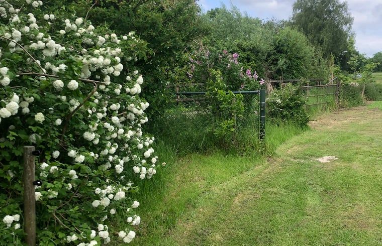 Green surroundings at Holiday home in Gaanderen, Gelderland