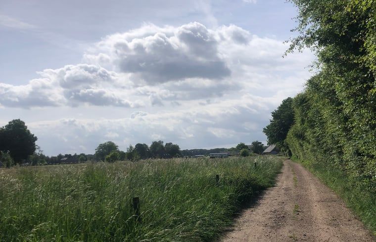 Country road with view at cottage in Gaanderen, Achterhoek