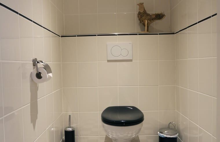 Unterkunft 295804 - Ferienhaus Achterhoek - Vakantiehuisje in Lievelde