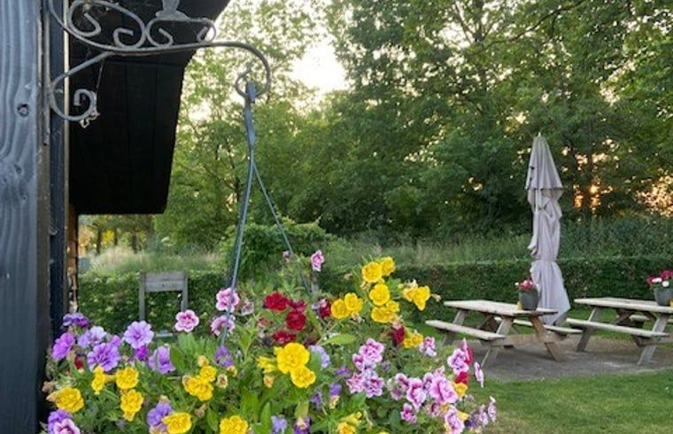 Guest house 295806 - Holiday property Achterhoek - Vakantiehuis in Lievelde
