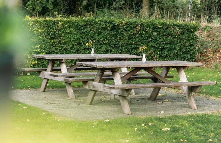 Unterkunft 295806 - Ferienhaus Achterhoek - Vakantiehuis in Lievelde