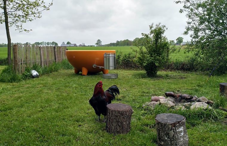 Unterkunft 295813 - Ferienhaus Achterhoek - Vakantiehuisje in Lievelde