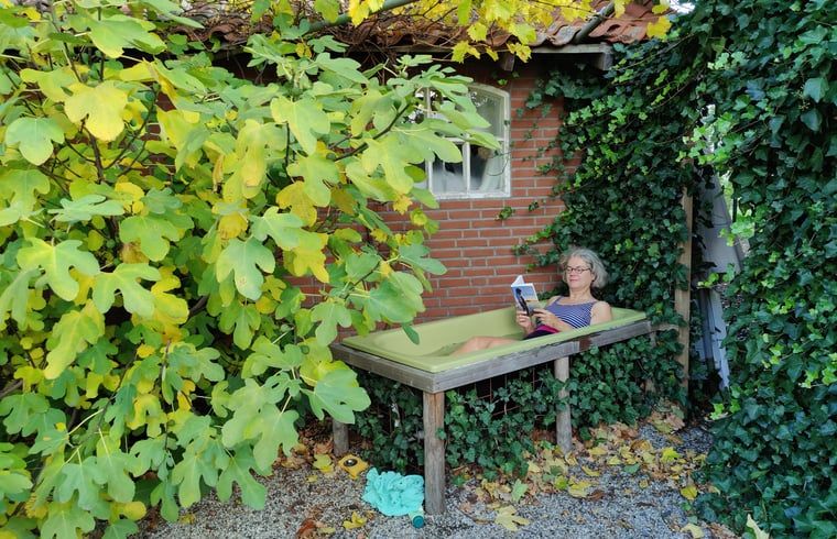 Unterkunft 295813 - Ferienhaus Achterhoek - Vakantiehuisje in Lievelde