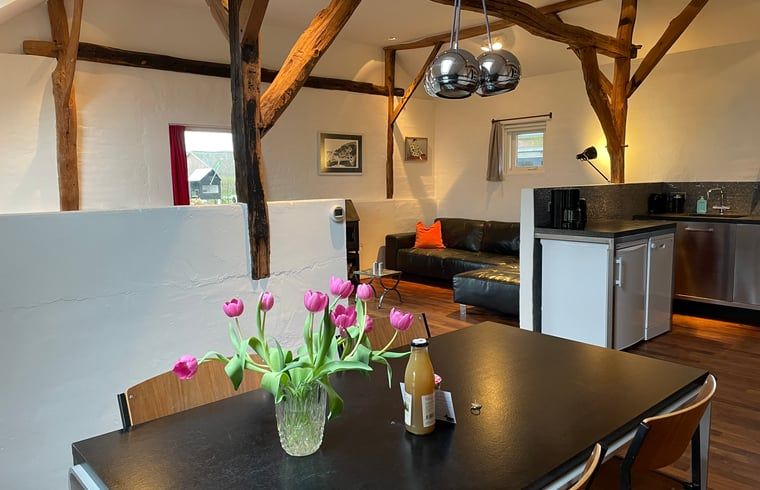 Unterkunft 295813 - Ferienhaus Achterhoek - Vakantiehuisje in Lievelde