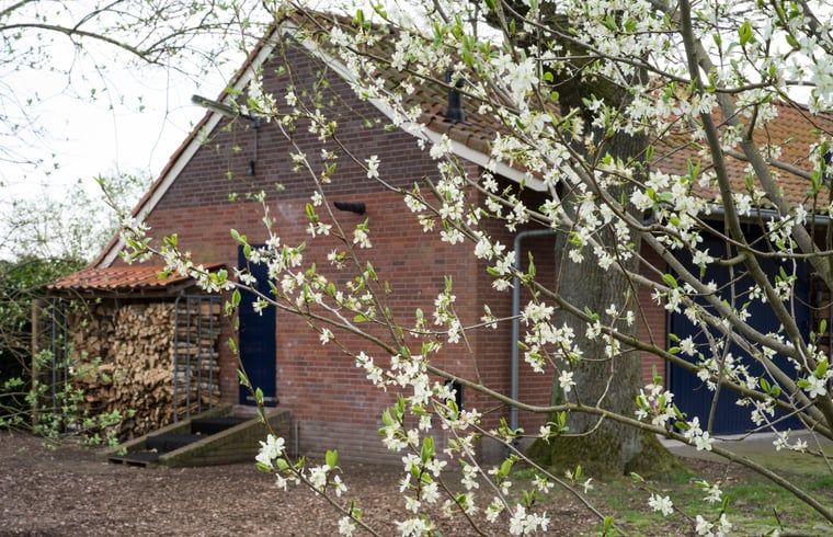 Unterkunft 295813 - Ferienhaus Achterhoek - Vakantiehuisje in Lievelde