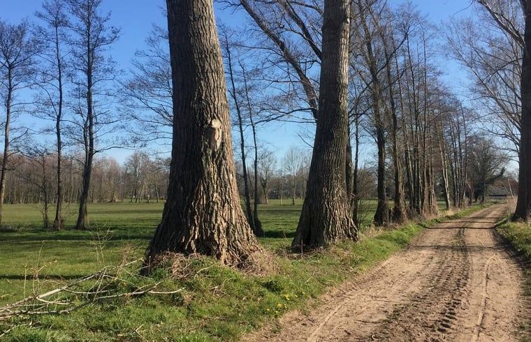Verblijf 295816 - Vakantiewoning Achterhoek - Huisje in Lievelde