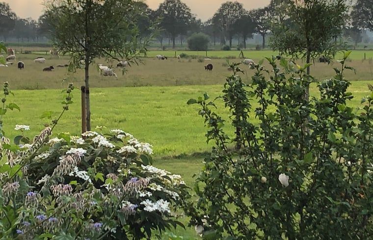 Verblijf 295816 - Vakantiewoning Achterhoek - Huisje in Lievelde