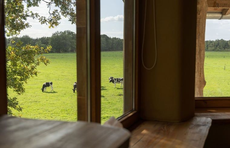 Verblijf 295822 - Vakantiewoning Achterhoek - Huisje in Lievelde