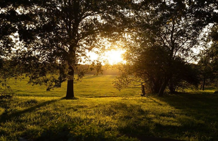 Verblijf 295822 - Vakantiewoning Achterhoek - Huisje in Lievelde