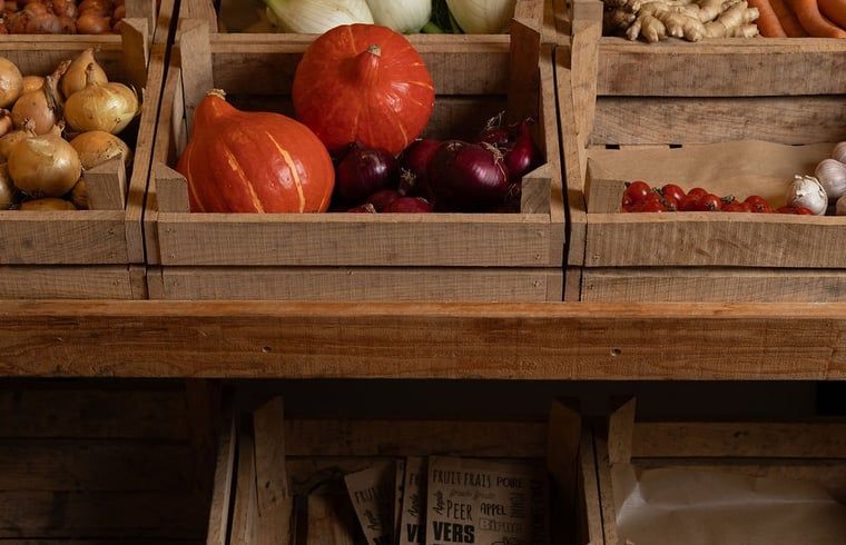 Verblijf 295822 - Vakantiewoning Achterhoek - Huisje in Lievelde