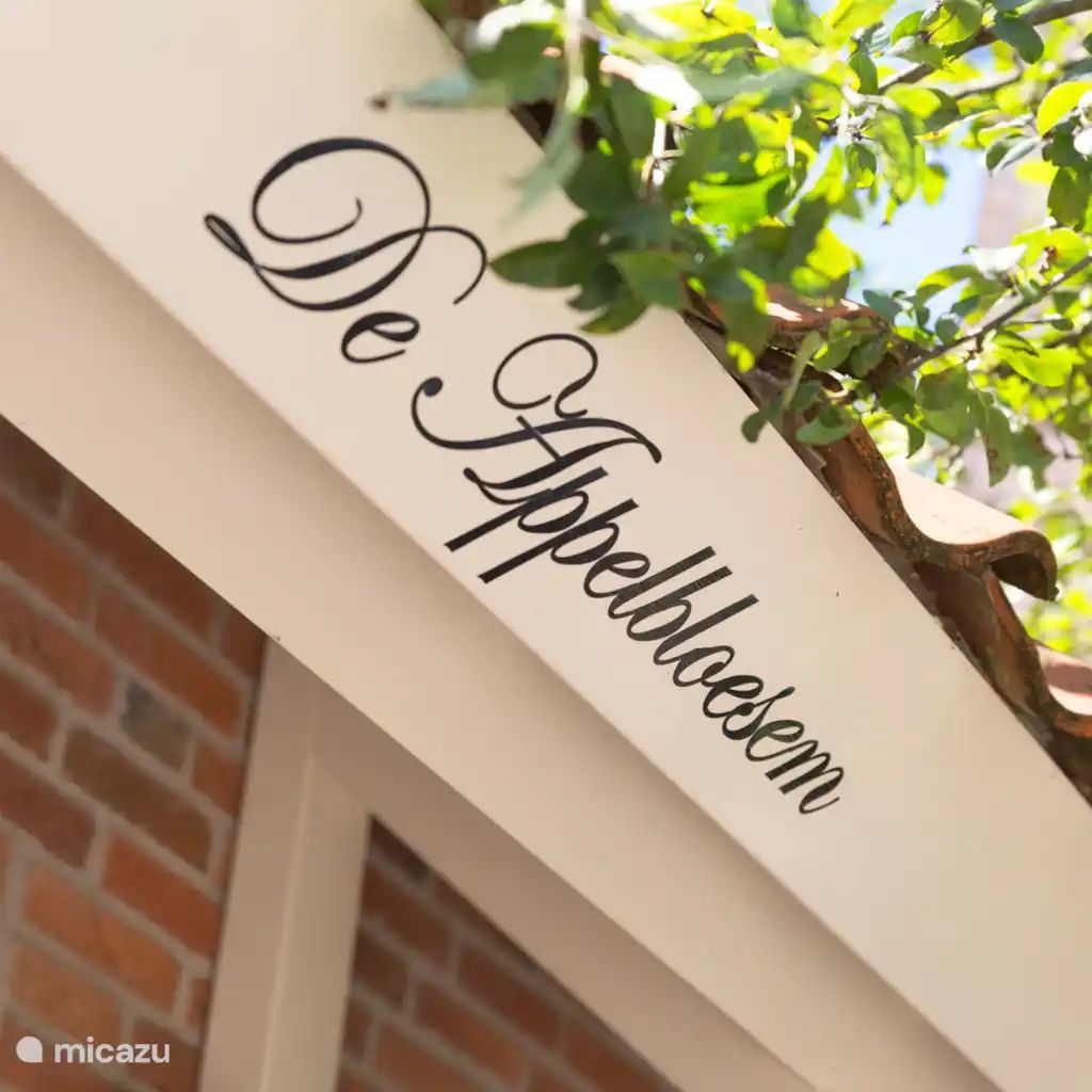 Guest house 295826 - Holiday property Achterhoek - De Appelbloesem met hottub en sauna