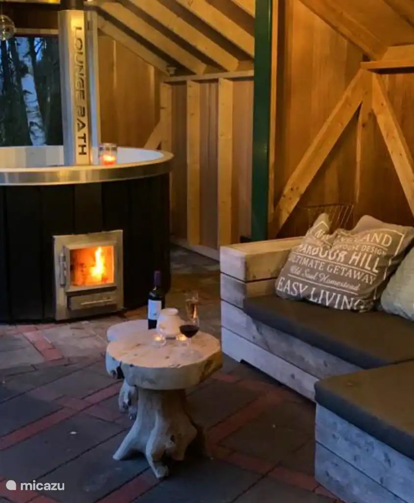 Guest house 295830 - Holiday property Achterhoek - De Essenburgh met hottub en sauna