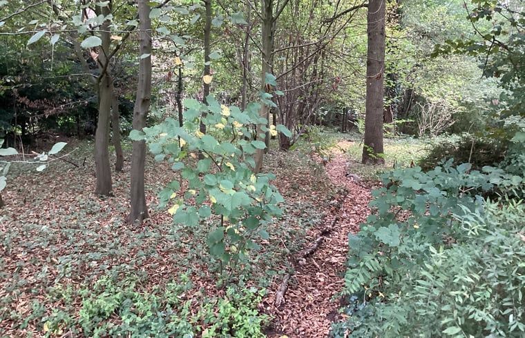 Unterkunft 296412 - Ferienhaus Achterhoek - Huisje in Winterswijk Brinkheurne