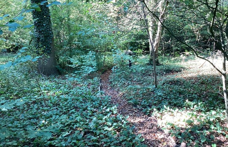 Unterkunft 296412 - Ferienhaus Achterhoek - Huisje in Winterswijk Brinkheurne