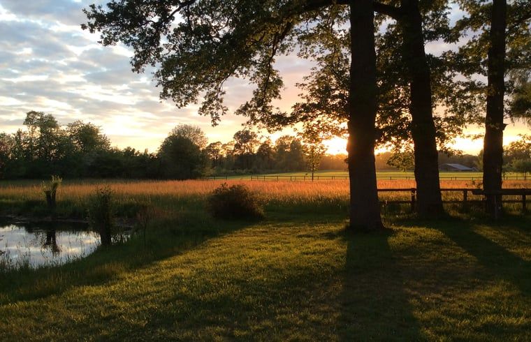 Unterkunft 296412 - Ferienhaus Achterhoek - Huisje in Winterswijk Brinkheurne