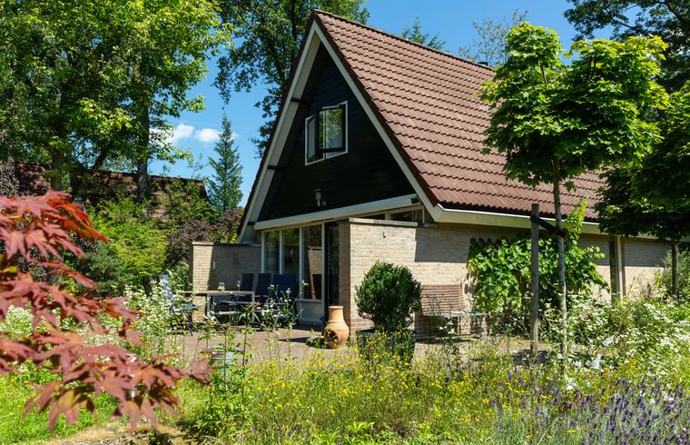 Guest house 296607 - Holiday property Achterhoek - Vakantiehuis in Winterswijk Henxel