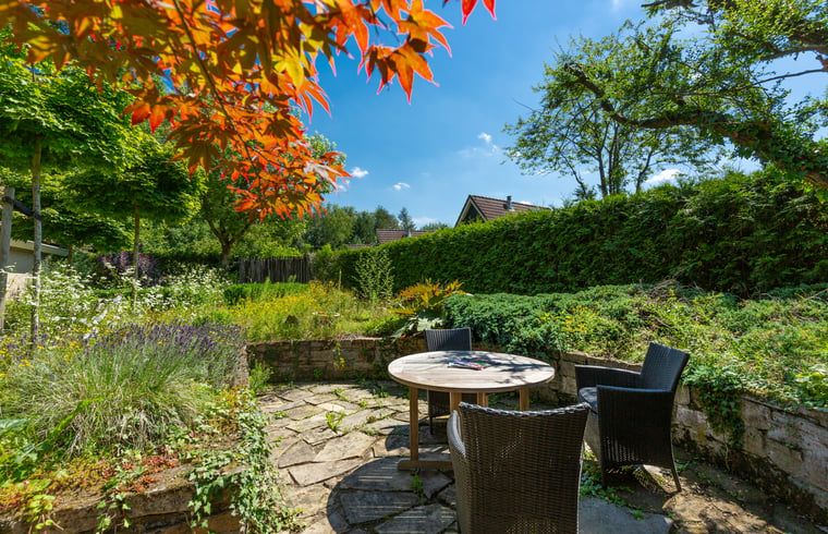Guest house 296607 - Holiday property Achterhoek - Vakantiehuis in Winterswijk Henxel