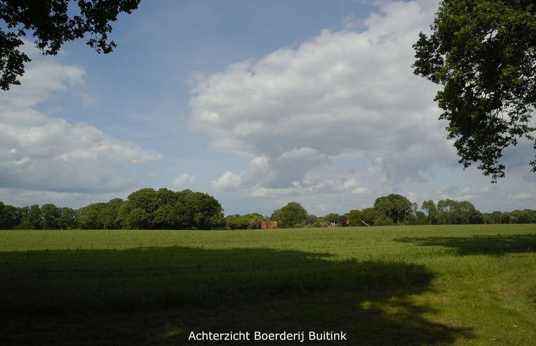 View of green fields from Holiday Home in Winterswijk Kotten, a restful place in Gelderland.