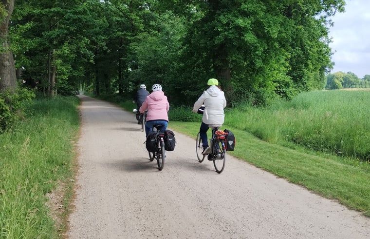 Cyclists on the road near Holiday home in Winterswijk Kotten, enjoy nature in Gelderland.