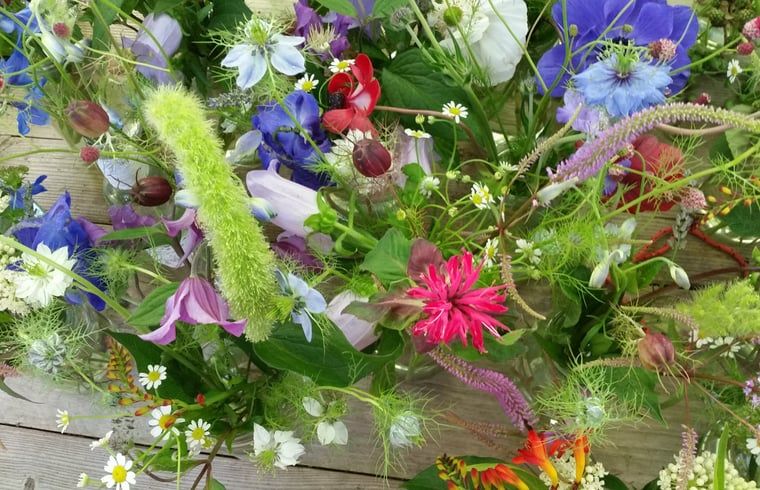 Floral displays in the garden of Cottage in Warnsveld, located in Achterhoek, Gelderland.