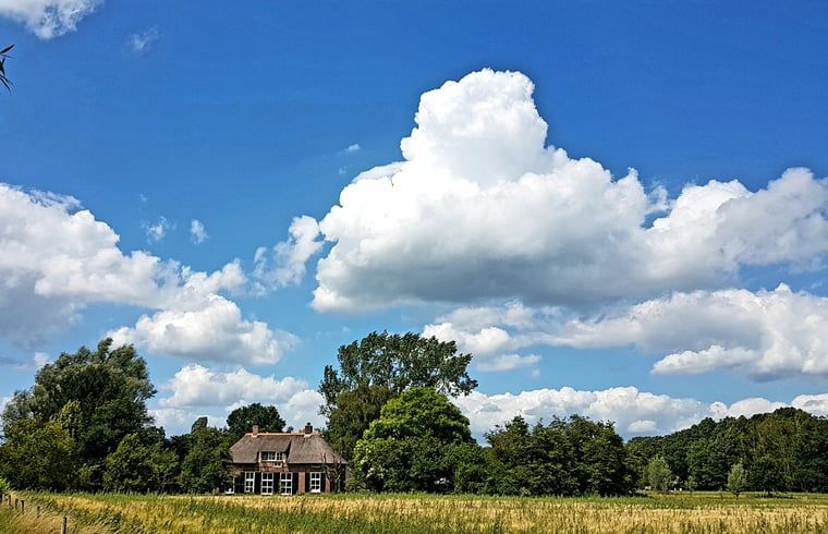 Cottage in Warnsveld, Achterhoek, with blue sky and picturesque surroundings.