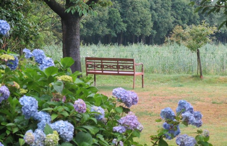 Bench overlooking the landscape at Cottage in Warnsveld, Achterhoek, Gelderland.