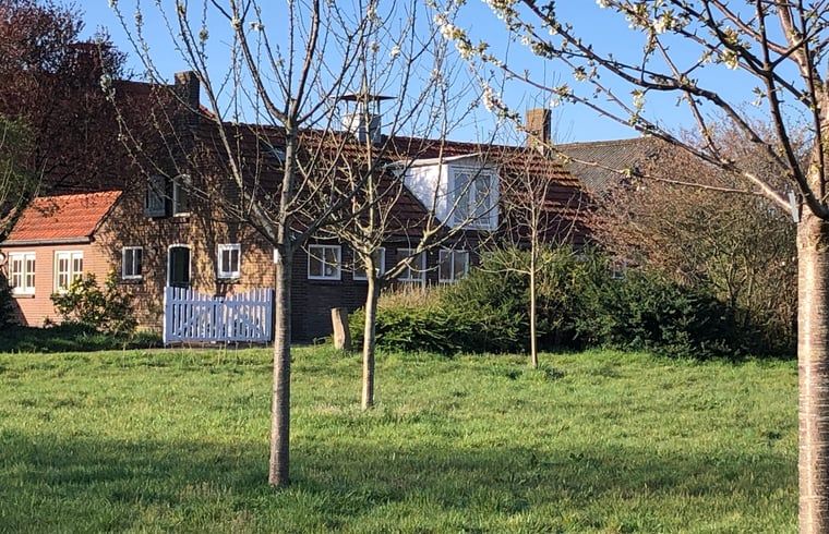 Ferienhaus in Almen, Ferienunterkunft in Achterhoek, Gelderland. Rustikales Aussehen mit bluehenden Baeumen in der gruenen Umgebung.