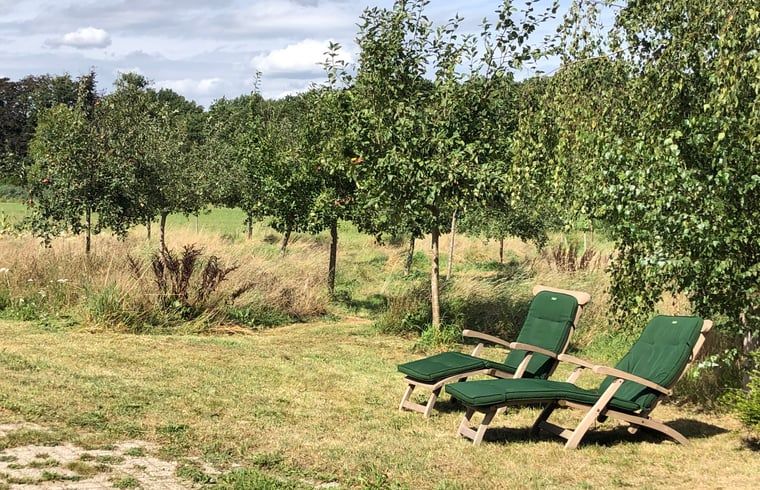 Cottage in Almen, Ferienhaus in Achterhoek, Gelderland. Entspannende Stuehle im Garten mit Blick auf den gruenen Obstgarten.