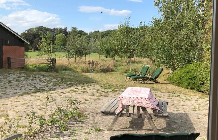 Cottage in Almen, Ferienhaus in Achterhoek, Gelderland. Sonnige Terrasse mit Picknicktisch und Blick auf die ueppige Natur.