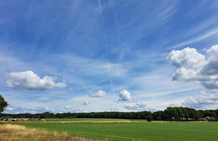 Cottage in Almen, Ferienhaus in Achterhoek, Gelderland. Herrliche Aussicht auf weite Felder unter blauem Himmel.
