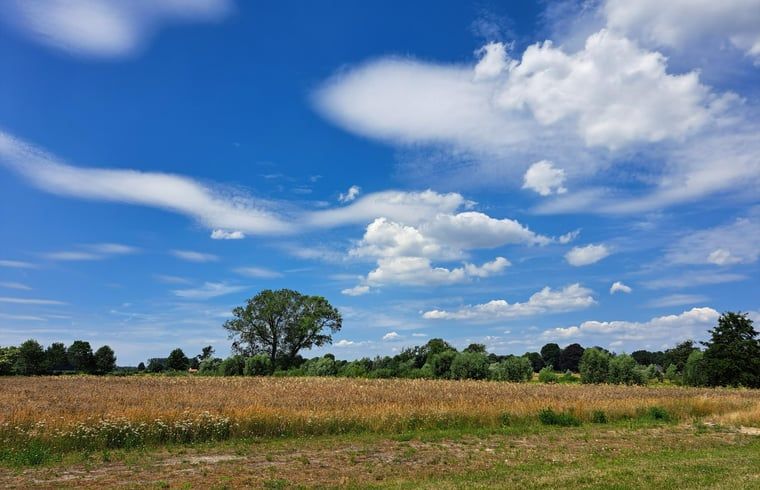 Cottage in Almen, Ferienhaus in Achterhoek, Gelderland. Weite Landschaft mit wilden Blumen und blauem Himmel.