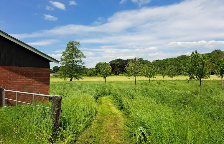 Ferienhaus in Almen, Ferienunterkunft in Achterhoek, Gelderland. Gartenweg mit ueppiger gruener Natur und Baeumen.