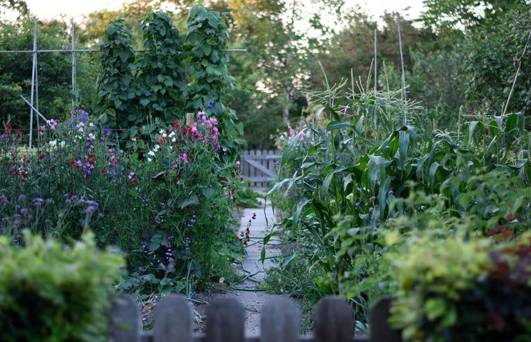 Unterkunft 297309 - Ferienhaus Achterhoek - Vakantiehuisje in Megchelen