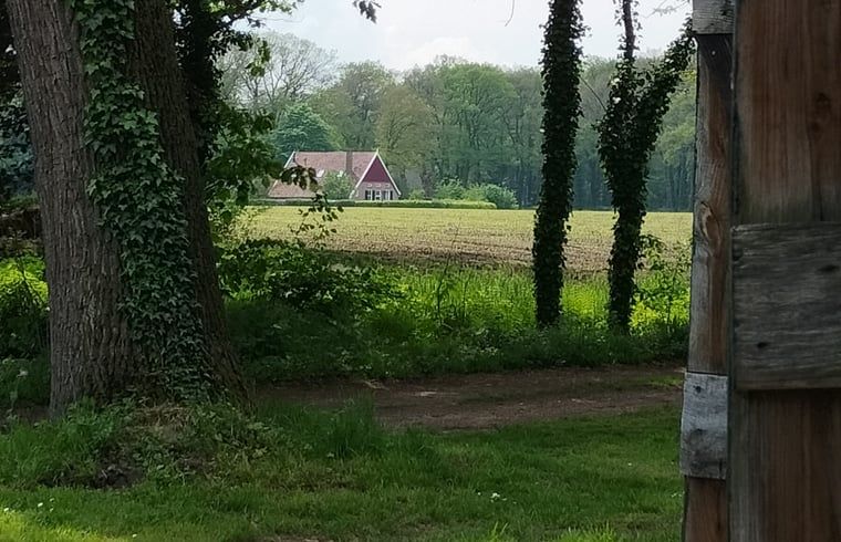 Verblijf 297405 - Vakantiewoning Achterhoek - Vakantiehuisje in Winterswijk Woold