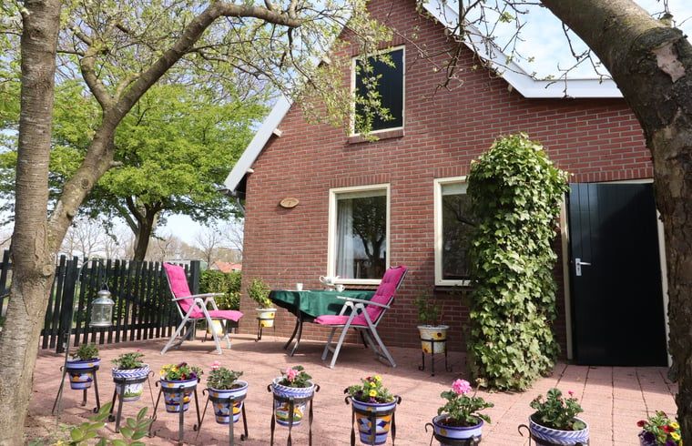 Geniet van de charmante tuin bij Vakantiehuisje in Winterswijk Woold, gelegen in de rustige Achterhoek, Gelderland.