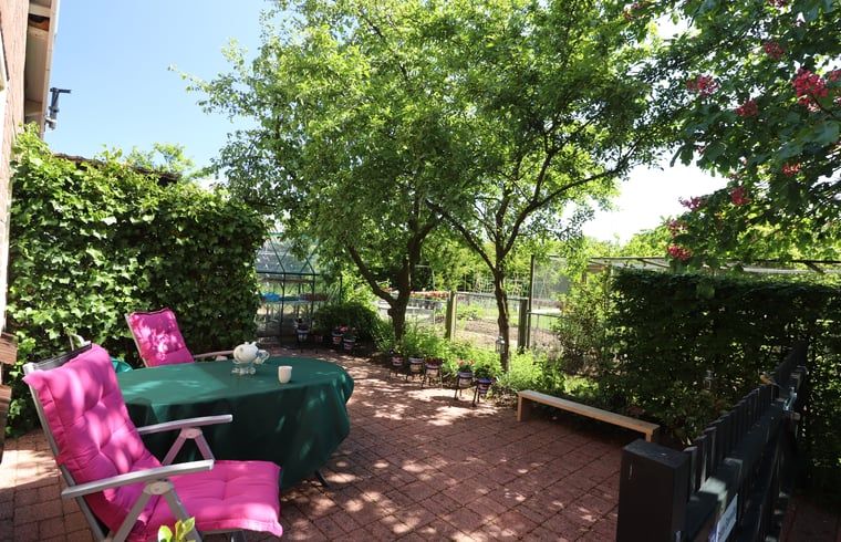 Zonnig terras bij Vakantiehuisje in Winterswijk Woold, perfect voor een kopje koffie in de natuur van de Achterhoek, Gelderland.