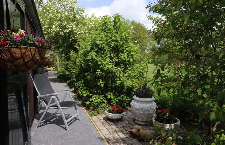 Rustige veranda van Vakantiehuisje in Winterswijk Woold, met uitzicht op het groene landschap van de Achterhoek, Gelderland.