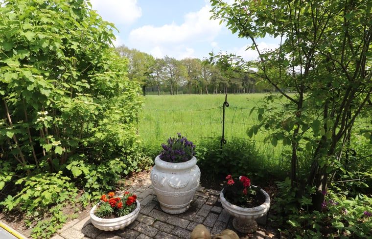 Verblijf 297408 - Vakantiewoning Achterhoek - Vakantiehuisje in Winterswijk Woold