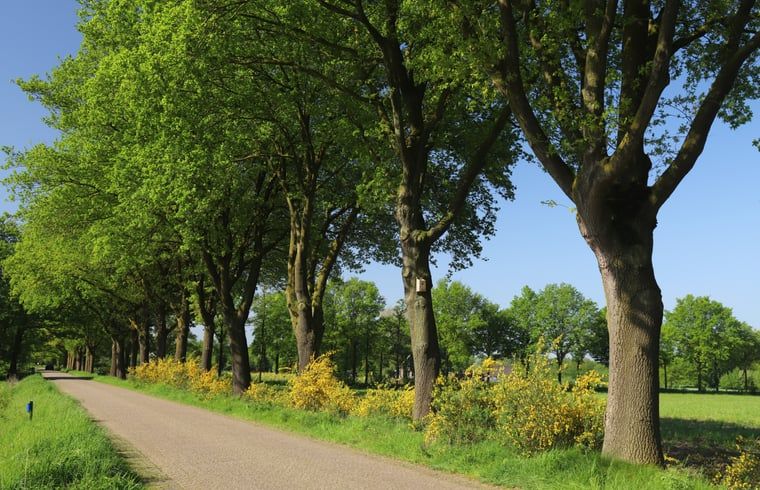 Verblijf 297408 - Vakantiewoning Achterhoek - Vakantiehuisje in Winterswijk Woold