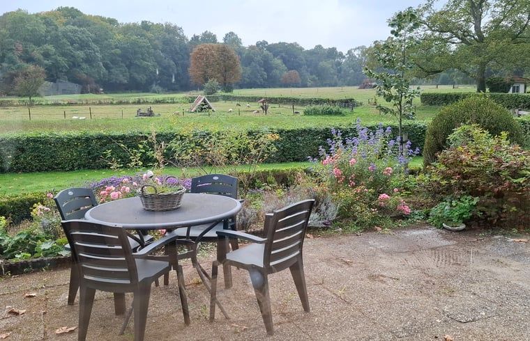 Enjoy the serene nature from the terrace of Holiday Home in Winterswijk Woold, located in the beautiful Achterhoek, Gelderland.