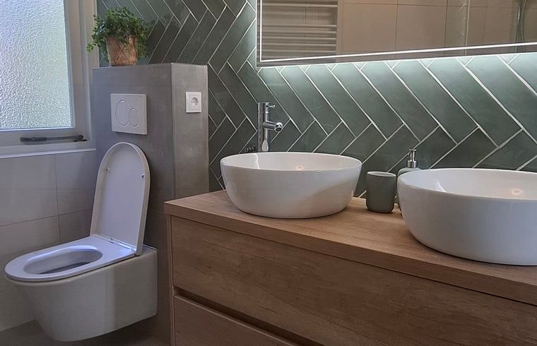 Guest house 297417 - Holiday property Achterhoek - Vakantiehuisje in Winterswijk Woold