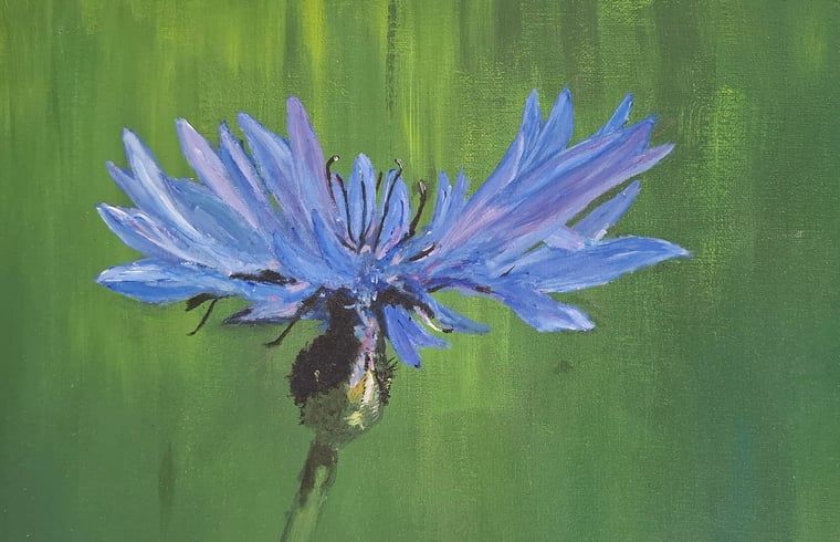 Guest house 297417 - Holiday property Achterhoek - Vakantiehuisje in Winterswijk Woold