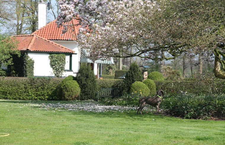 Guest house 297417 - Holiday property Achterhoek - Vakantiehuisje in Winterswijk Woold