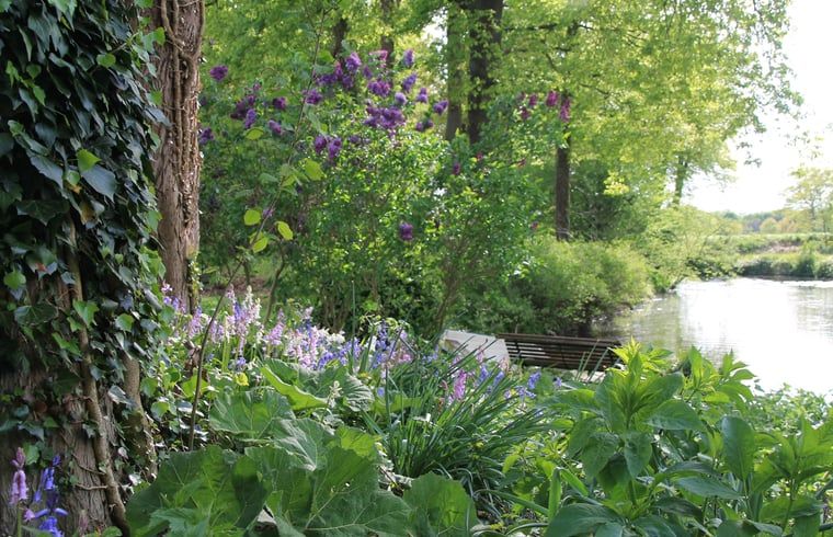 Guest house 297417 - Holiday property Achterhoek - Vakantiehuisje in Winterswijk Woold