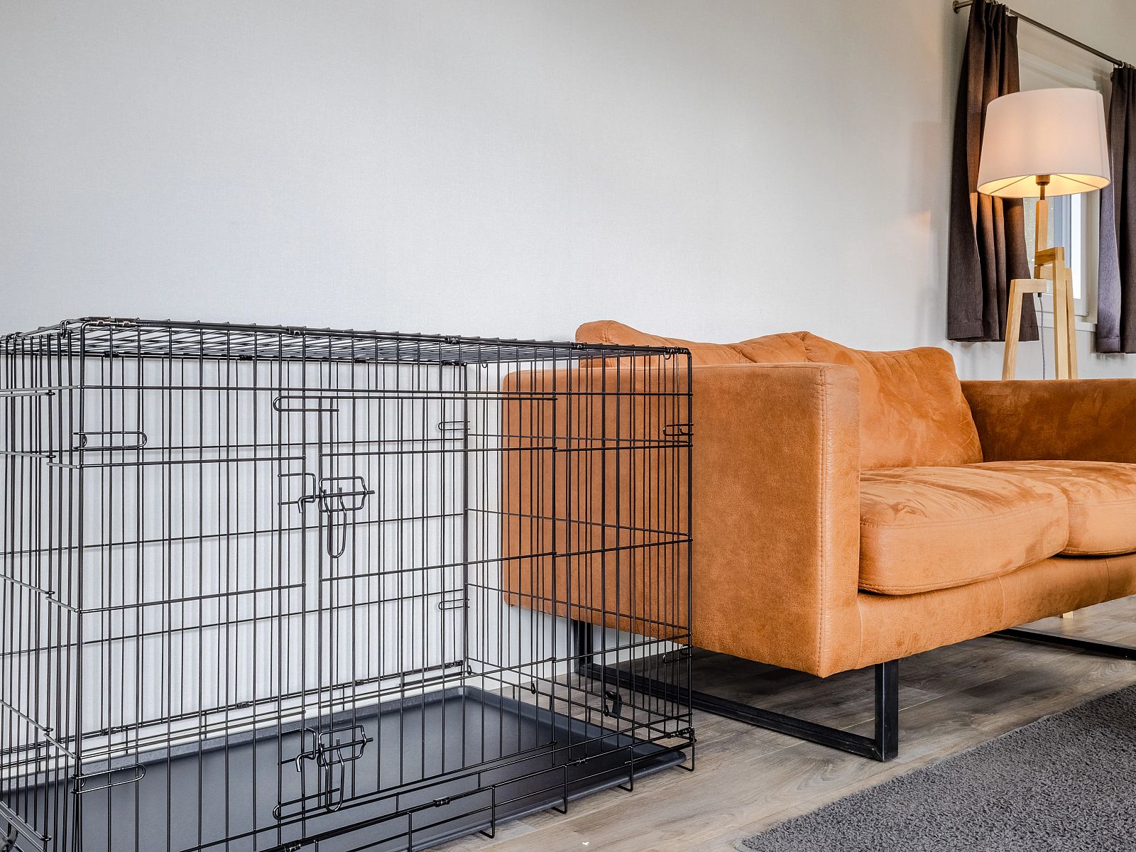 Cozy living room in De Vlinderhoeve, 4-bed bungalow in Kring van Dorth, Achterhoek, with comfortable sofa and modern furnishings.